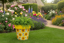 Indlæs billede til gallerivisning Sunflowers pot full of sunflowers height 26cm
