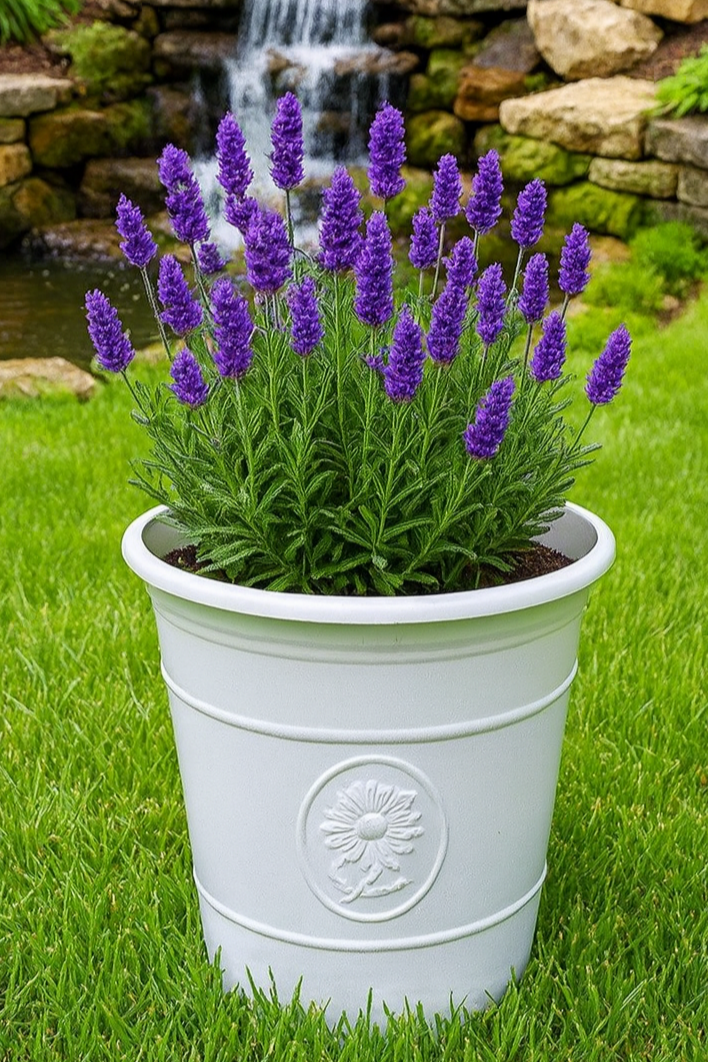 Sunflower coloured white flower pot available in two sizes - Marissa's Garden & Gift