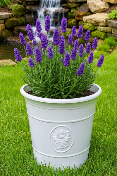 Sunflower coloured white flower pot available in two sizes - Marissa's Garden & Gift