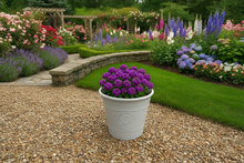 Laden Sie das Bild in den Galerie-Viewer, Sunflower coloured white flower pot available in two sizes
