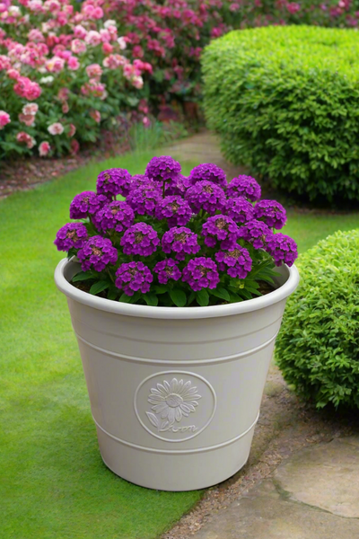 Sunflower coloured white flower pot available in two sizes - Marissa's Garden & Gift