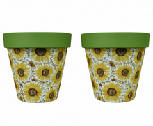 Load image into Gallery viewer, Sunflowers pot full of sunflowers x 2 pots - Marissa's Garden &amp; Gift
