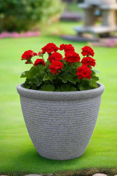26cm Chatsworth grey embossed pot - Marissa's Garden & Gift