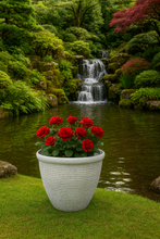 Charger l&#39;image dans la galerie, 26cm Chatsworth white coloured flower pot - Marissa&#39;s Garden &amp; Gift
