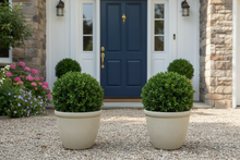 Laden Sie das Bild in den Galerie-Viewer, 26cm Chatsworth white coloured textured flower pot x 2 pots - Marissa's Garden &amp; Gift
