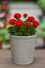 Load image into Gallery viewer, 29cm Blenheim polyresin off white flower pot - Marissa&#39;s Garden &amp; Gift
