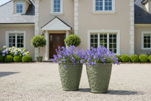 Load image into Gallery viewer, 29cm Blenheim green flower pot x 2 pots recycled plastic - Marissa's Garden &amp; Gift
