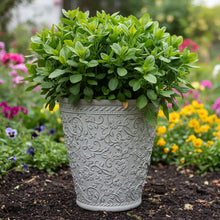 Load image into Gallery viewer, 29cm 2 x Blenheim polyresin off white recycled flower pots - Marissa's Garden &amp; Gift
