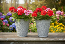 Load image into Gallery viewer, 29cm 2 x Blenheim polyresin off white recycled flower pots - Marissa's Garden &amp; Gift
