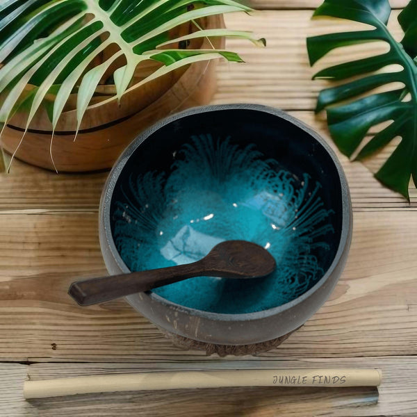 Handmade hand painted turquoise feather design food safe coconut bowl and spoon Set with free gift bamboo straw and gift box