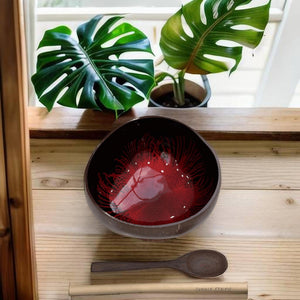 Handmade hand painted red feather design food safe coconut bowl and spoon Set with free gift bamboo straw and gift box