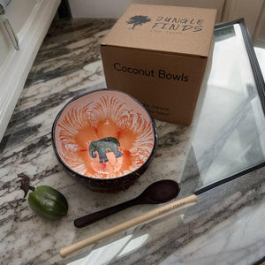 Handmade hand painted white and orange with elephant  design food safe coconut bowl and spoon Set with free gift bamboo straw and gift box