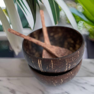 Food safe natural coconut bowl & wooden spoon