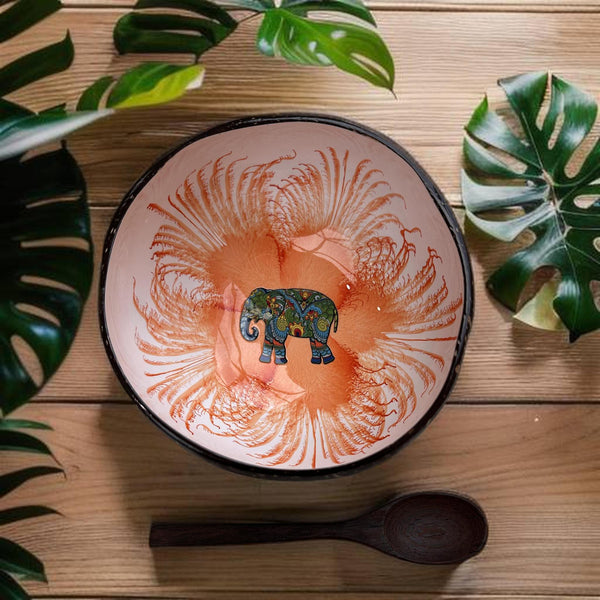 Handmade hand painted white and orange with elephant  design food safe coconut bowl and spoon Set with free gift bamboo straw and gift box