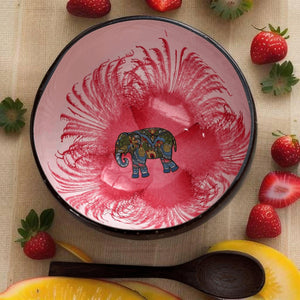 Handmade hand painted white and pink with elephant  design food safe coconut bowl and spoon Set with free gift bamboo straw and gift box