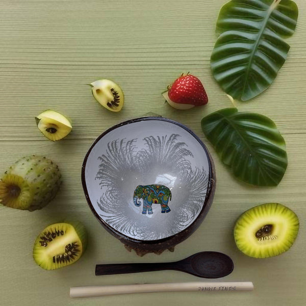 Handmade hand painted white and silver with elephant  design food safe coconut bowl and spoon Set with free gift bamboo straw and gift box - Marissa's Garden & Gift