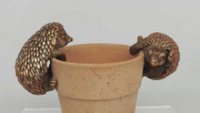 Load and play video in Gallery viewer, Polyresin pair of bronze coloured hedgehog pot hangers
