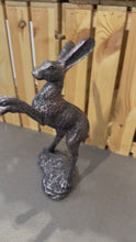 Laden und Abspielen von Videos im Galerie-Viewer, Boxing hare bronze polyresin sculpture 39cm
