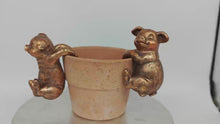 Load and play video in Gallery viewer, Polyresin pair of bronze coloured pigs pot hangers
