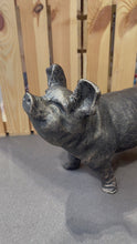 Load and play video in Gallery viewer, Gold with black brush pig garden ornament polyresin 36cm high
