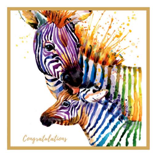 Congratulations Zebra card | Marissa's Garden & Gift