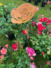 Load image into Gallery viewer, Handmade rusty garden/outdoor rose metal garden flower 119cm
