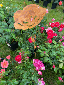 Handmade rusty garden/outdoor rose metal garden flower 119cm