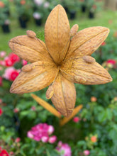 Load image into Gallery viewer, Handmade Lily metal rusty garden/outdoor flower 125cm

