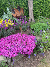 Laden Sie das Bild in den Galerie-Viewer, Handmade garden/outdoor tulip rustic with silver metal garden flower 95cm

