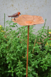 Robin metal bird feeder for outdoors/garden