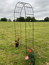 Afbeelding in Gallery-weergave laden, Hollywell Garden Rose Arch zwart met bladgoud
