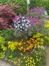 Laden Sie das Bild in den Galerie-Viewer, Handmade chrysanthemum Silver with black brush Metal Garden/outdoor flower 119CM
