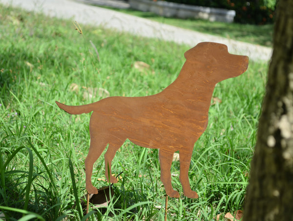 Rusty metal labrador outdoor and garden gift, labrador gift, labrador garden ornament, labrador memorial measuring 35 x 0.4 x 42 cm