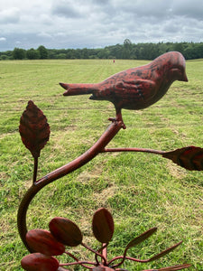 Bronze Bird Spinner