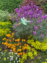 Afbeelding in Gallery-weergave laden, Metal dragonfly plant support/decorative garden ornament
